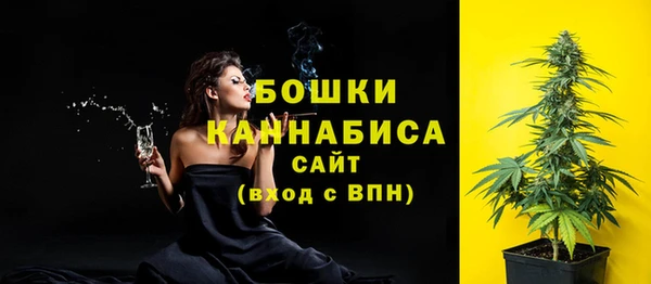 сатива Белоозёрский