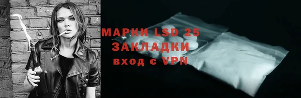 гашик Белокуриха