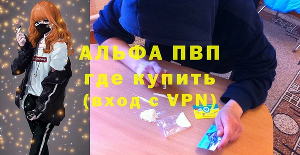 гашик Белокуриха