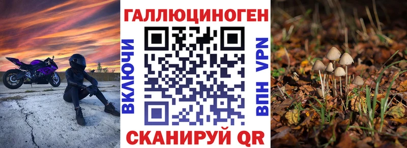 хочу   Бийск  Псилоцибиновые грибы MAGIC MUSHROOMS 