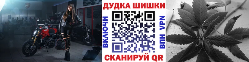 Шишки марихуана конопля Бийск